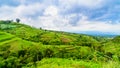 Lush farming land on the side of an active volcano in central Java, Indonesia