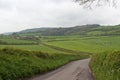 Lush farmland landscape in Surrey, England