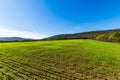 Lush Farmland Roads Flowing Around Raystown Lake, in Pennsylvania