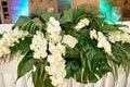 Lush floral arrangement of orchids and monstera leaves on wedding table. Wedding presidium in restaurant, copy space. Royalty Free Stock Photo