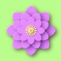 Lush flower on green surface. Purple opened lotus with delicate petals and yellow inflorescence.