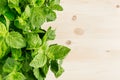 Lush foliage bunch mint on soft beige wooden board with copy space, top view, closeup.