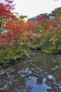 Lush foliage of Japanese maple tree during autumn in a garden in Kyoto, Japan Royalty Free Stock Photo