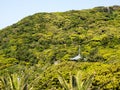 Lush forest covering the slopes of Cape Ashizuri with Kongofukuji temple pagoda poking through