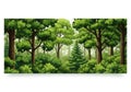 Lush forest landscape with dense greenery featuring tall Royalty Free Stock Photo