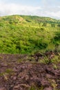 Lush forest in the rainy season - Sertao landscape in Oeiras, Piaui