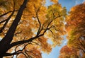 Lush forest with trees adorned in a vibrant orange canopy, AI-generated. Royalty Free Stock Photo