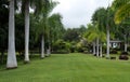 Lush garden in Hawaii Big Island