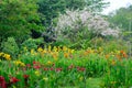 A Lush Garden with lots of Flowering Plants