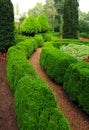 Lush garden path