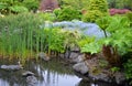 Lush garden pond
