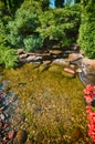 Lush garden pond