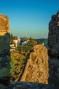 Lush garden seen by the Castle of Marvao Royalty Free Stock Photo