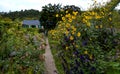 The lush gardens at the home of Claude Monet