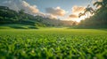 Lush Golf Course With Palm Trees Royalty Free Stock Photo