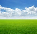 Lush grass field and blue sky with cloud background