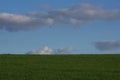 Lush grass on springtime medow on sunset. Horizontal photo Royalty Free Stock Photo