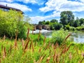 Lush grass and wildflowers frame a river with a dam under a vibrant blue sky Royalty Free Stock Photo