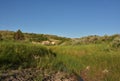 Lush Grasslands with Rolling Hills in North Dakota