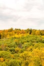 Lush grassy pasture surrounded by a forest of vibrant trees in Run Elk Viewing Area in Benezette Royalty Free Stock Photo