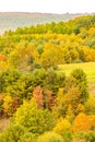 Lush grassy pasture surrounded by a forest of vibrant trees in Run Elk Viewing Area in Benezette