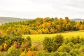 Lush grassy pasture surrounded by a forest of vibrant trees in Run Elk Viewing Area in Benezette