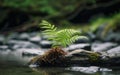 Lush green aquatic plant with long slim leaves is growing on top of a felled tree log, AI-generated.