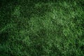 Lush Green Artificial Grass Texture Royalty Free Stock Photo