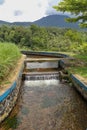 Lush green Balinese rice fields. Irrigation called subak, a trad Royalty Free Stock Photo