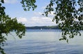 lush green birch trees hanging over Lake Starnberg or Starnberger See in Bernried on sunny May day, Bavaria, Germany