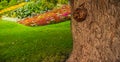 Lush green botanical garden, blooming spring flowers and green lawn. Park lawn , shade of trees. Manicured park garden Royalty Free Stock Photo