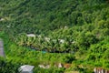 Lush green coconut palm trees surrounding row of luxury tropical villas with swimming pool, mountain range background, upscale Royalty Free Stock Photo