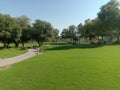 Lush green Creek Park in dubai uae Royalty Free Stock Photo