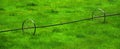Lush Green Farm Field with Growing Crops and Irrigation Pipe Wheel Lines for Watering Field