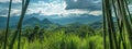 Lush green field with bamboo grove forest, mountains, and blue sky in the background Royalty Free Stock Photo