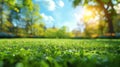 A lush green field of grass with a beautiful blurred background of trees and blue sky