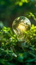 Lush Green Field With Light Bulb Illuminating the Landscape