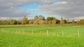 Lush green fields with trees on a cloudy day in the Flemish countryside Royalty Free Stock Photo