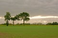 Farmland with trees on a cloudy day in the Flemish countryside Royalty Free Stock Photo