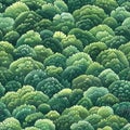 Lush Green Forest Canopy Texture - Aerial View of Vibrant Treetops Royalty Free Stock Photo