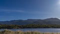 A lush green forest grows on the shore of a blue lake. Royalty Free Stock Photo