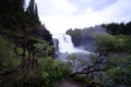 a waterfall in a forest near some trees and bushes on the shore Royalty Free Stock Photo