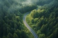 A lush green forest surrounds a picturesque winding summer road Royalty Free Stock Photo