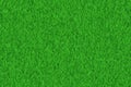 Lush green freshness grass texture