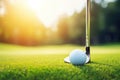 Lush green golf course grass in the rough, with a white golf ball and an iron clubhead ready to play. Royalty Free Stock Photo