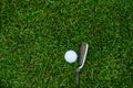 Lush green golf course grass in the rough, with a white golf ball and an iron clubhead ready to play Royalty Free Stock Photo