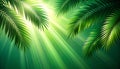 A lush green gradient background with shadow of palm leafs. background concept Royalty Free Stock Photo