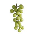 Lush Green Grapes Hanging on Vine Isolated on transparent background Royalty Free Stock Photo