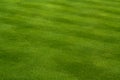 Lush Green Grass Royalty Free Stock Photo