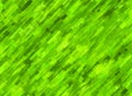 Lush green grass abstract blur texture Royalty Free Stock Photo